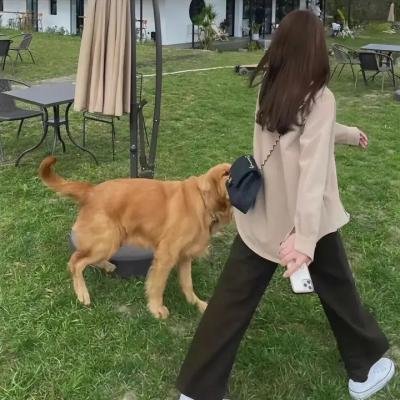 妳是恶魔